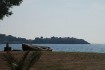 Toroni