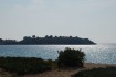 Toroni