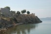 Toroni